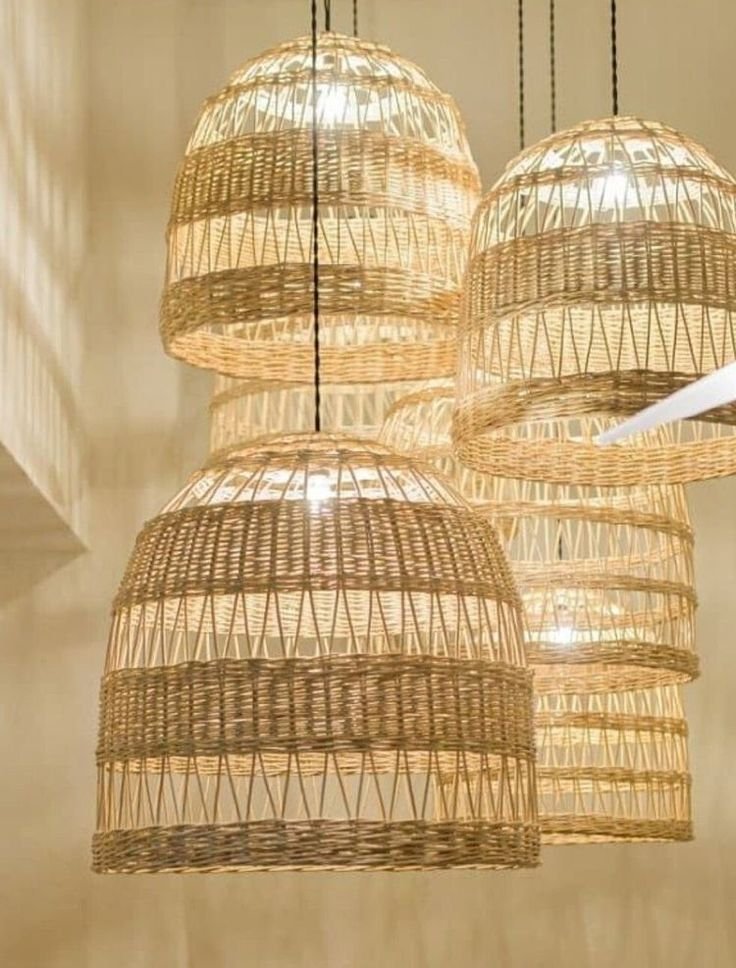 Basket with plant in living space